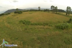 Общината ще продава 15 декара до имот на Георгиев в Новачене