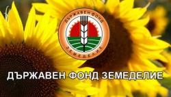 Приемната за граждани отвори врати в ДФ „Земеделие” 