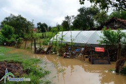 Над  20 къщи наводнени в Паланката на Скравена