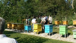 Пчелари от Ботевград и Сърбия обмениха опит