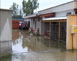 Наводнени магазини и заведения в Ботевград
