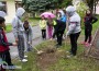 ОУ „Любен Каравелов” се включи в инициативата „Да засадим дърво за мир”