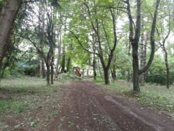Сдружение „За Ботевград” кани гражданите и кандидат-депутатите да засядат дръвчета в парка на Техническия университет 