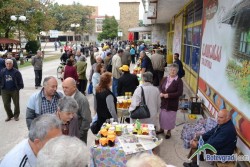 Шести меден фест ще се проведе в Ботевград