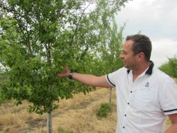 Семинар за земеделски производители организират от Сужбата за съвети в земеделието