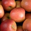 Етрополски ученици ще получат по 1 кг ябълки по програмата "Ябълка за здраве" 