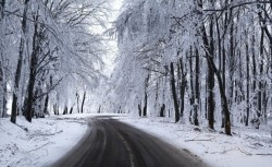  Жълт код за силен вятър, сняг и поледици е обявен  за 29 декември