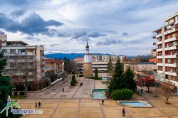 Демографската криза 2014 г: родени 231, починали 509