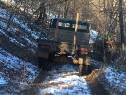 Поголовна сеч и в Чеканица. Камиони без регистрационни табели извозват добитата дървесина