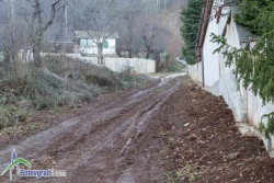 Собственици на имоти в Чеканица сигнализираха кмета с писмо за поголовната сеч в местността