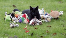 Петък 13-и е!