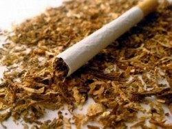 Контрабандни цигари са иззети при полицейска операция в Правец