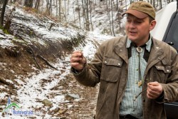 Иван Степанов:  Стремим се да възобновяваме гората по естествен път