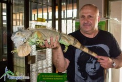 Изложба на екзотични влечуги в Ботевград