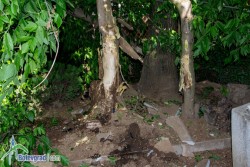 „Фолксваген Голф” се опита да „влезе” тази нощ в р-т „Нептун”