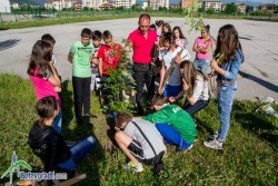 Седмокласниците от ОУ „Св. Св. Кирил и Методий” посадиха дърво на изпроводяк 