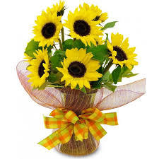 Днес Етрополе също има своя празник