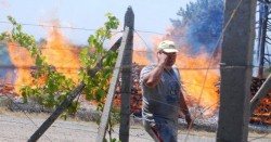 Пожарът край елховското село Вълча поляна е окончателно ликвидиран