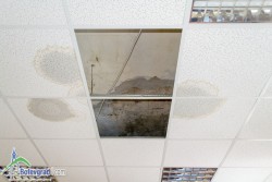 Жители на Врачеш: Трябваше да бъде ремонтиран и покривът на читалището