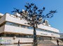 Ремонтираха „Дървото на щастието” пред Обредния дом