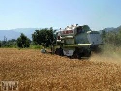 От 7 септември ДФ „Земеделие“ отваря прием по мярка 121 от ПРСР 2007-2013