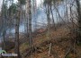 Гори гората над Стубеля!