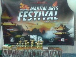 фестивал на бойните изкуства НСА 2015