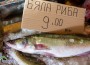 Никулден наближава, цената на прясната риба е същата от миналата година