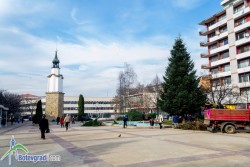 Тази вечер ще бъдат запалени светлините на коледната елха в Ботевград 