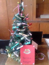 Коледните елхички в ТПГ „Стамен Панчев”, отрупани с мъдри мисли и пожелания