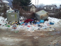 Битовите отпадъци в Зелин не са извозвани от близо месец, твърди гражданка