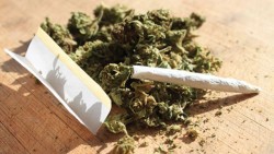 Двама непълнолетни от Литаково са задържани за притежание на канабис