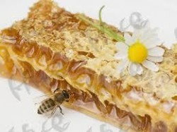 Честит празник на всички, които обичат пчелите или меда!