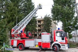 Премахнаха 25-метровия смърч от хотел „Балкан”