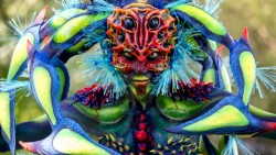 Вижте един от най-зрелищните арт фестивали в света