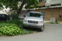 Гражданин сигнализира за автомобил, паркиран в зелена площ