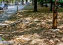 БМВ строши стълб и дърво на булевард „Цар Освободител”