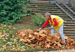 Есенно почистване на Община Етрополе