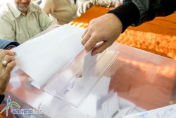 Към 13 часа избирателната активност е 30.59 на сто