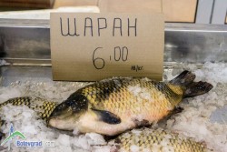 Разнообразна риба за Никулден на ботевградския пазар