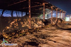 Умишлен палеж в Горското стопанство