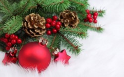 Новогодишен поздрав от местното ръководство на  БЧК до жителите на Община Ботевград