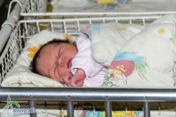 214 бебета са родени в ботевградската болница през миналата година 