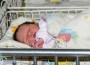 214 бебета са родени в ботевградската болница през миналата година 