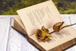 Местни поети четоха свои стихове в Столична библиотека 