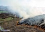 Горят сухи треви в района на  Регионалното депо