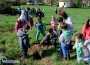 Малчугани от ДГ “Славейче“ се включиха в инициативата “Когато станем 100 000, ще посадим гора“