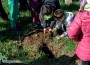 Малчугани от ДГ “Славейче“ се включиха в инициативата “Когато станем 100 000, ще посадим гора“