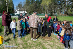 Гората на детските градини се разраства 