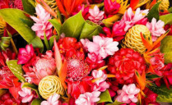 Цветна неделя е...